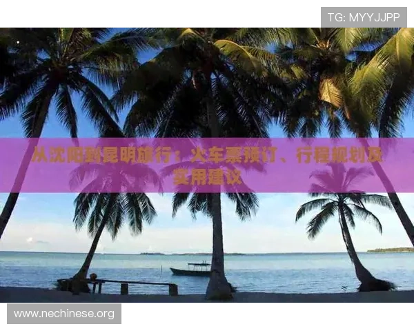 大发娱乐网站登录安全措施解析，保护个人信息的实用建议