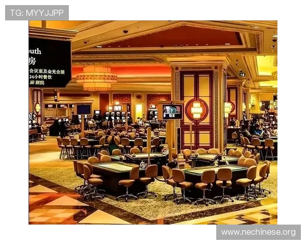 真人实体赌场全面解析，体验最真实的赌博氛围与服务质量提升攻略