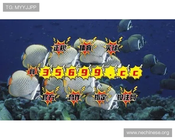 bg视讯各大平台怎么样详细对比不同平台的游戏品质与用户口碑分析